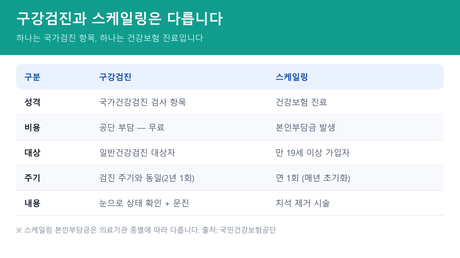구강검진과 스케일링 차이 비교 - 비용과 주기